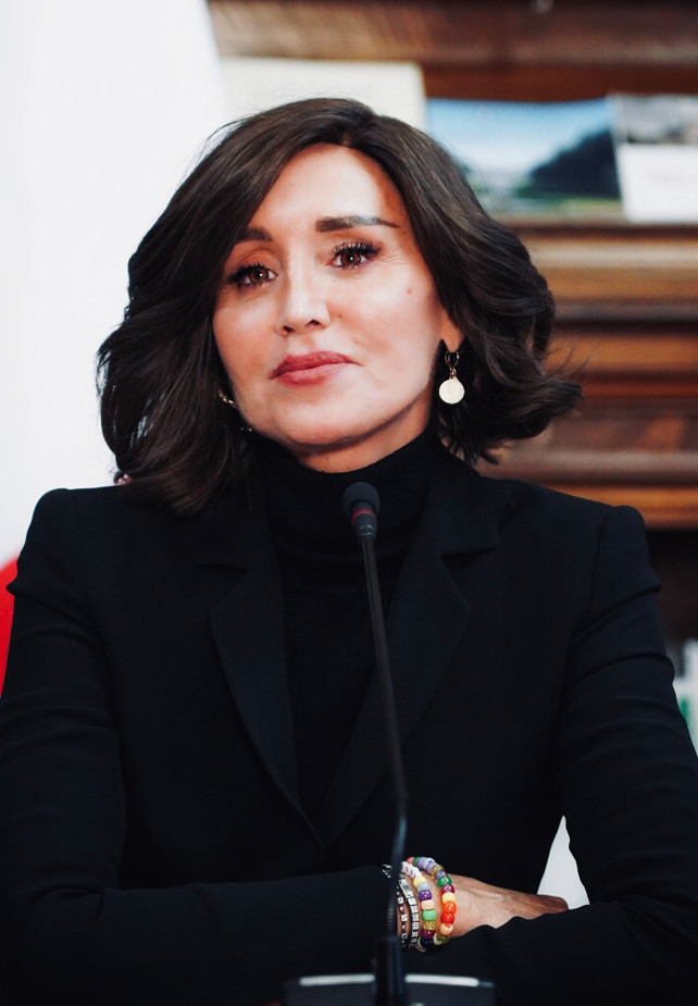 Ministro Bernini